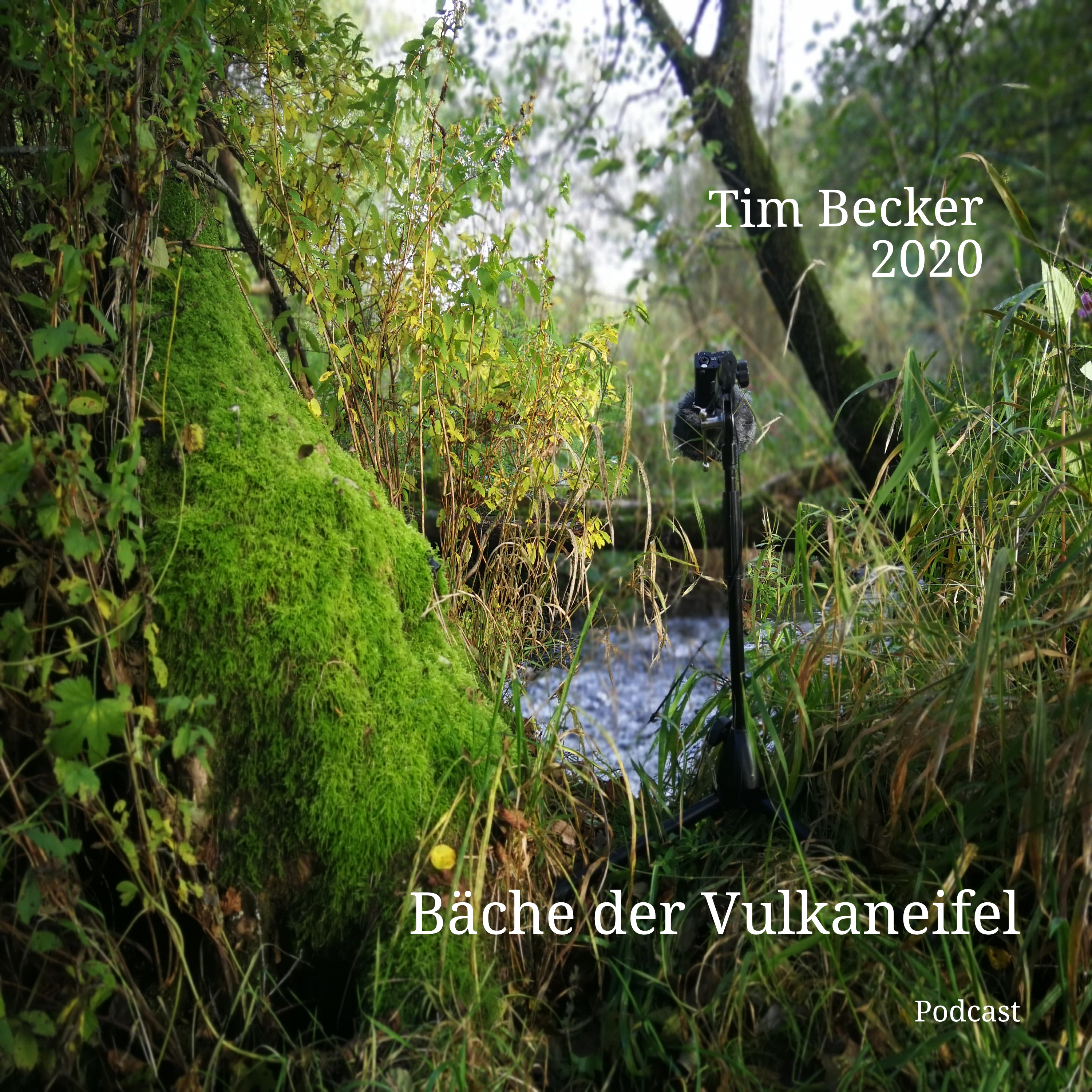 Bäche der Vulkaneifel | Klänge